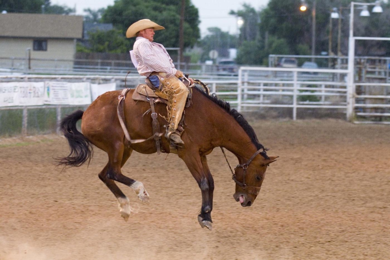 Pro Rodeo – Baca County Colorado